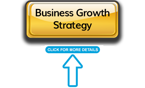 business growth strategy